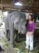 elephant003_small.jpg
